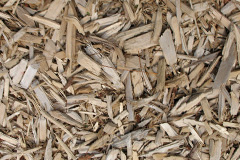 biomass boilers Kerdiston